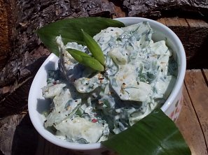 Okurkový salát s medvědím česnekem