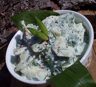 Okurkový salát s medvědím česnekem