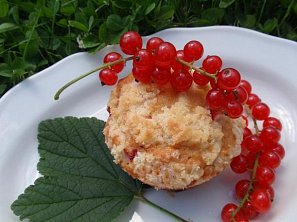 Jednoduché rybízové muffiny / koláč Jednoduché rybízové muffiny / koláč