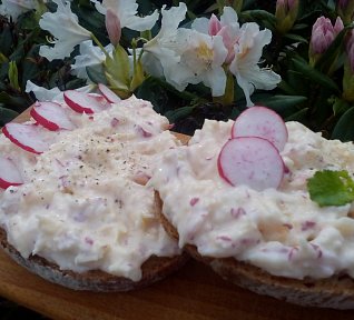 Ředkvičková pomazánka se sýrem