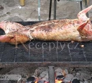 Králík na roštu - grilování