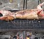 Králík na roštu - grilování