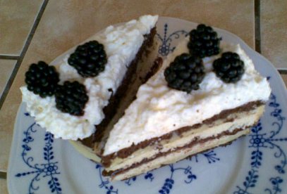 Barevný pudinkový dort