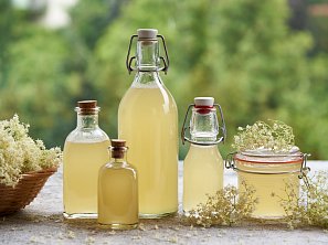 Bezový sirup za studena