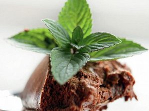 Mousse au chocolat (čokoládová pěna)