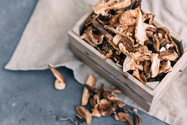 Jak na voňavé sušené houby