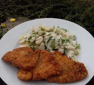 Bramborový rychlý salát s hořčicovým dresingem