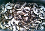 Masovo-mrkvové špalíčky na houbách