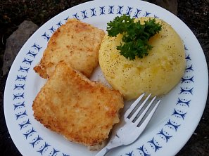 Pikantní jogurtové filé