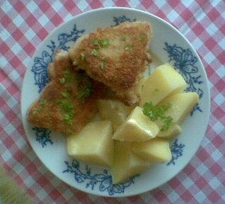 Pangasius v bylinkovém mantlu