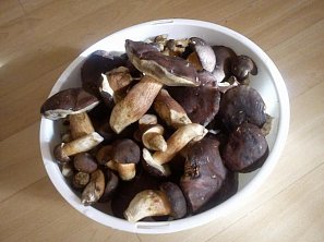 Zelňačka s houbami a uzeným