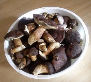 Zelňačka s houbami a uzeným