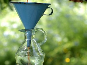 Červený vinný ocet