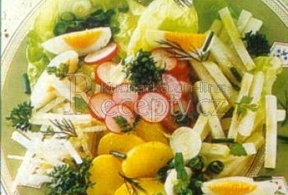 Letní zeleninový salát a bylinkami