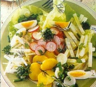 Letní zeleninový salát a bylinkami