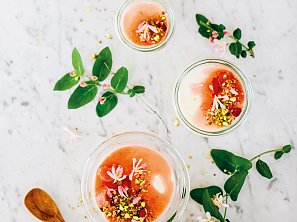 Panna cotta s rebarborovým přelivem