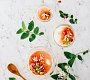 Panna cotta s rebarborovým přelivem