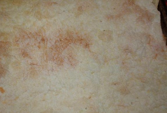 Báječný vanilkový řez z listového těsta - krémeš