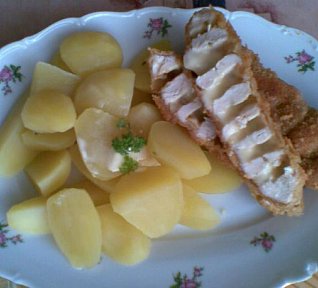 Sýrovo-kuřecí špízy