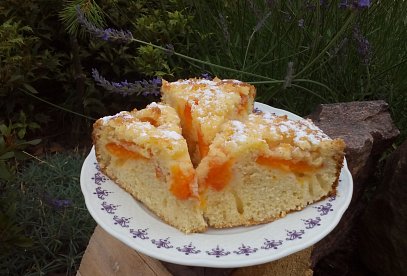 Meruňkový koláč z remosky
