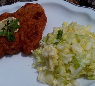 Jarní zelný salát