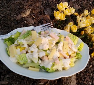 Salát se šunkou a sýrem