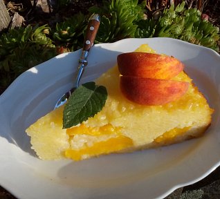 Zapečená sladká rýže s pudinkem a ovocem