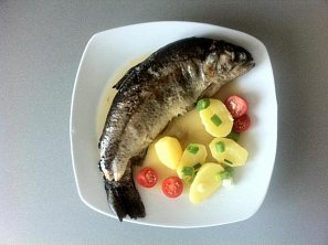 Pstruh na tokajském víně