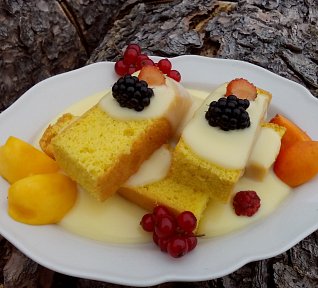 Piškot s pudinkem pro děti i dospělé