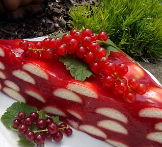 Rybízový nepečený dort