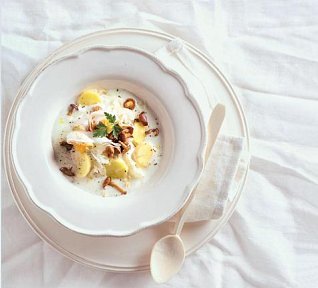 Kraslická liškajda