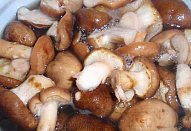 Bylinková krkovice na houbách (václavkách)