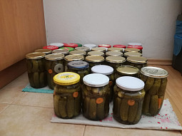 Nakládané okurky II.