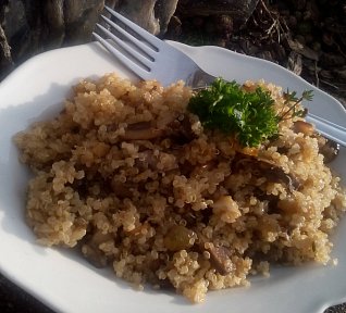 Quinoa s houbami ala houbový kuba