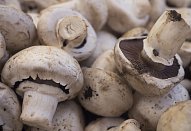 Vepřová panenka s houbami a jablky