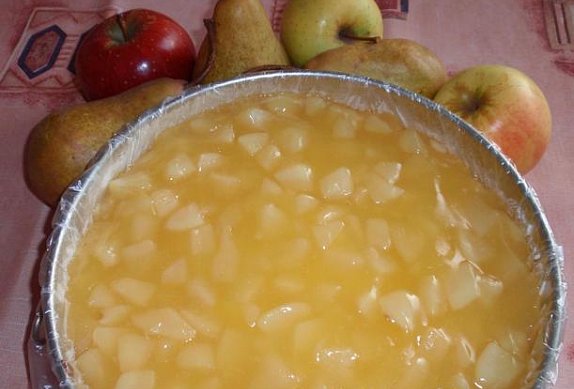 Jablečný či hruškový dort (řez) s tvarohovým krémem