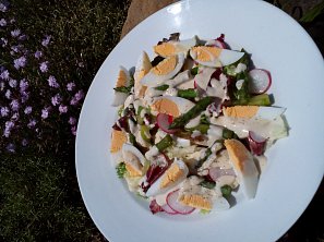 Salát (nejen) s chřestem a vejci