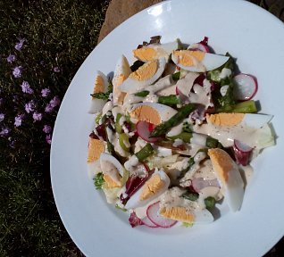 Salát (nejen) s chřestem a vejci