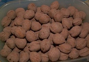 Kokosové ořechy s krémem
