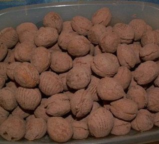 Kokosové ořechy s krémem