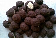 Kakaové ořechy plněné máslovým krémem