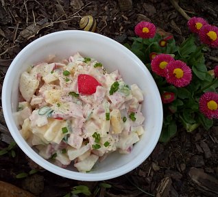 Ředkvičkový salát se šunkou a sýrem