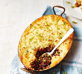 Vesnický páj (cottage pie)