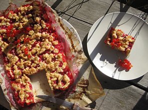 Rybízový koláč s drobenkou