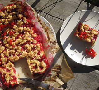 Rybízový koláč s drobenkou