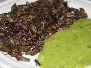 Cvrčci s guacamole Cvrčci s guacamole