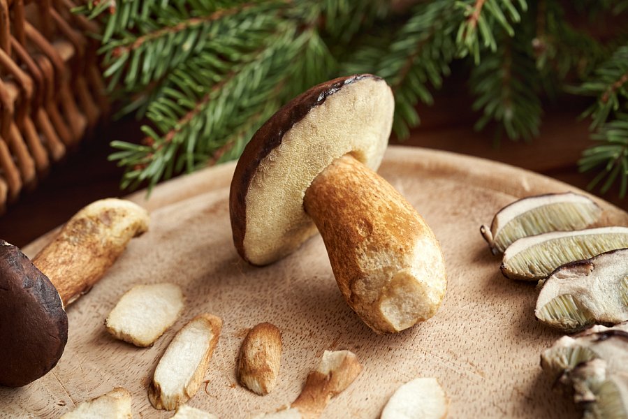 Houbová omáčka krok za krokem