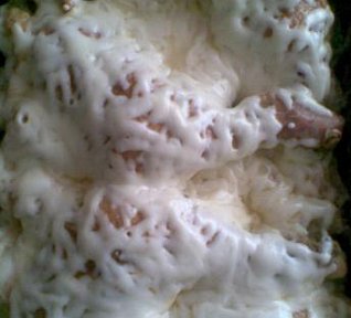 Sýrové kuře na česnekové smetaně