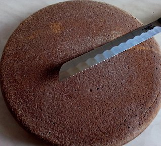 Kakaový korpus / bábovka z remosky