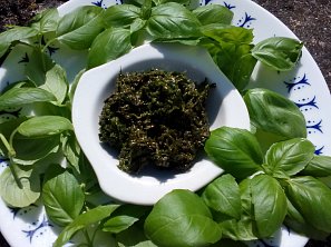 Bazalková pasta / pesto Bazalková pasta / pesto